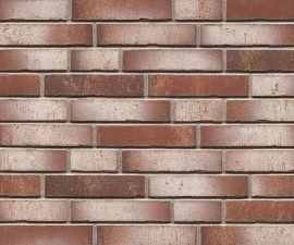 "Feldhaus Klinker" klinkerinės plytelės R923